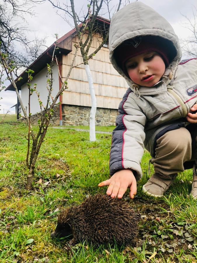 Willa Еко Дім З Соломи Solochin Zewnętrze zdjęcie